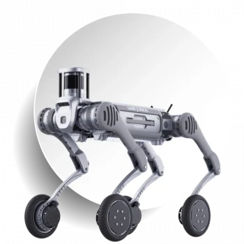 B2-W